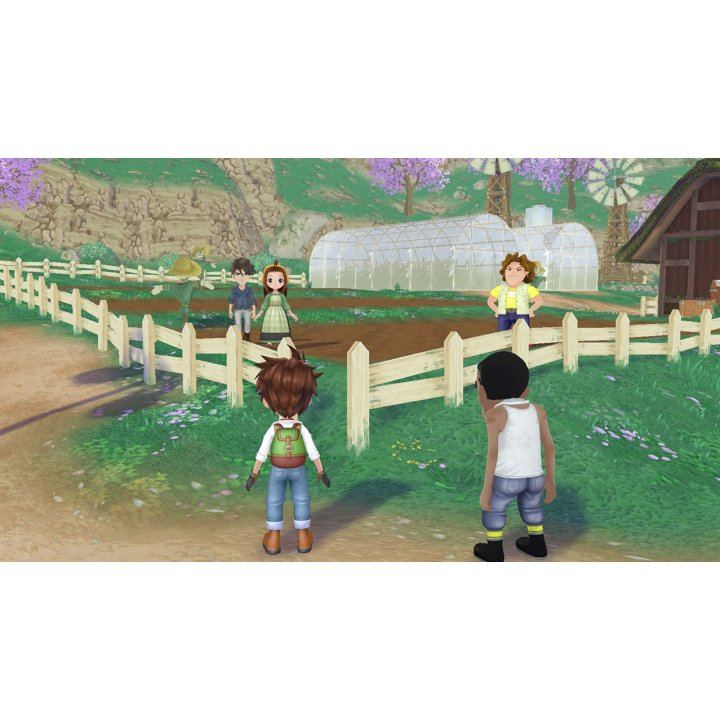 PS5 Story Of Seasons: A Wonderful Life Premium Edition (US)