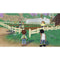 NSW Story Of Seasons: a Wonderful Life (US)