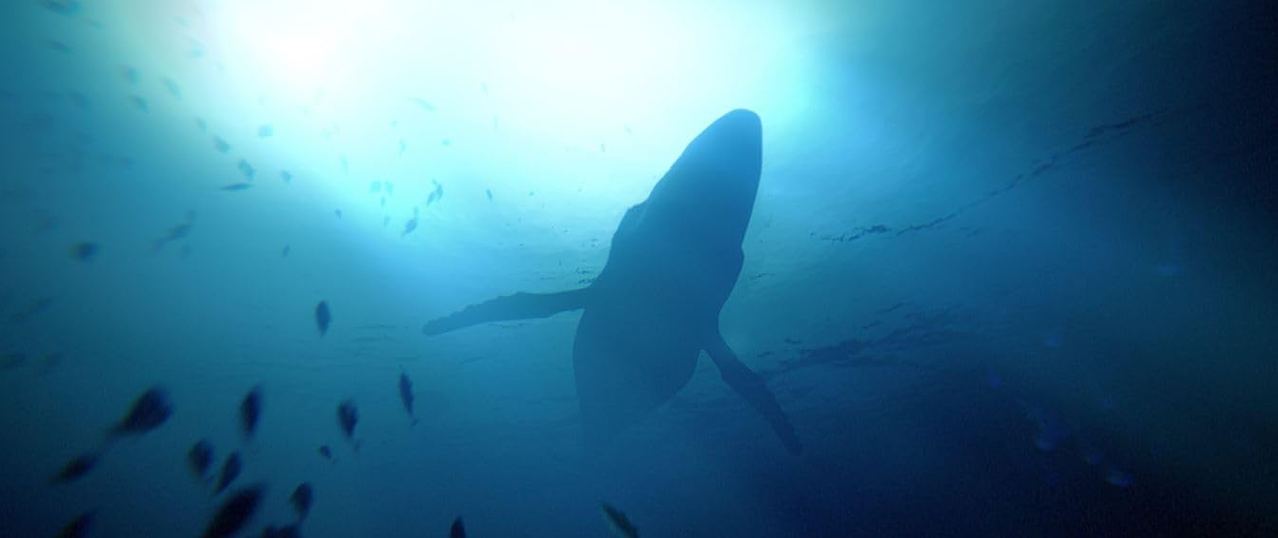 PS4 Under The Waves All (US) (ENG/FR/SP)