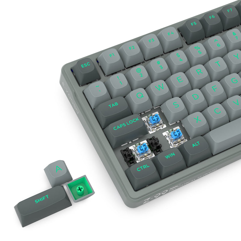 E-Yooso Z-99 RGB 99-Keys Wired Mechanical Keyboard Double Grey (Blue Switch, Silverwood Switch)