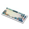 Akko MOD 007B HE PC Tri-Mode RGB Mechanical Keyboard (Joy of Life) (Akko Cream Yellow Magnetic Switch)