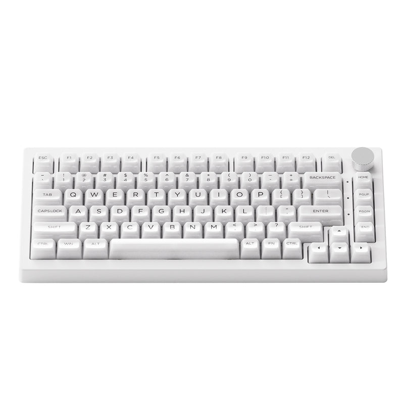 Akko 5075B Plus ASA Clear Multi-Mode RGB Hot-Swappable Mechanical Keyboard White - DataBlitz