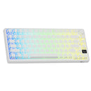 Royal Kludge RK-M75 HE Single-Mode RGB 81 Keys Hot-Swappable Mechanical Keyboard Frame