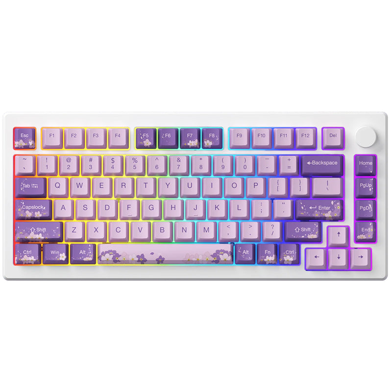 Akko MOD 007 HE PC Wired RGB Hot-Swappable Mechanical Keyboard