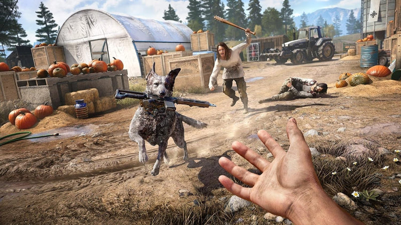 PS4 Far Cry 5 Reg.2 (Eng/EU)