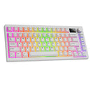 Tecware Spectre 75 RGB Tri-Mode 81-Key Gasket Mounted Mechanical Keyboard