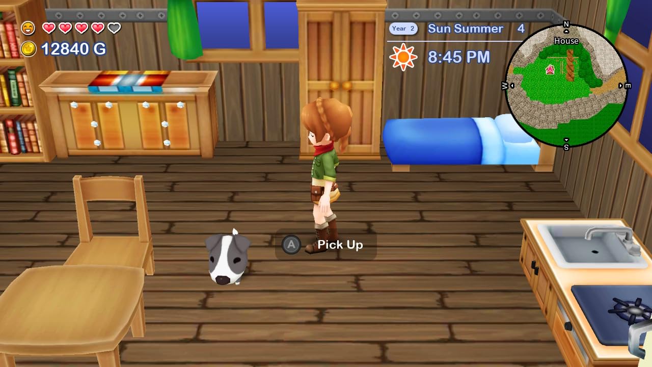 Nintendo Switch Harvest Moon The Lost Valley and Skytree Village