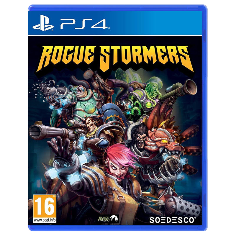 PS4 Rogue Stormers Reg.2