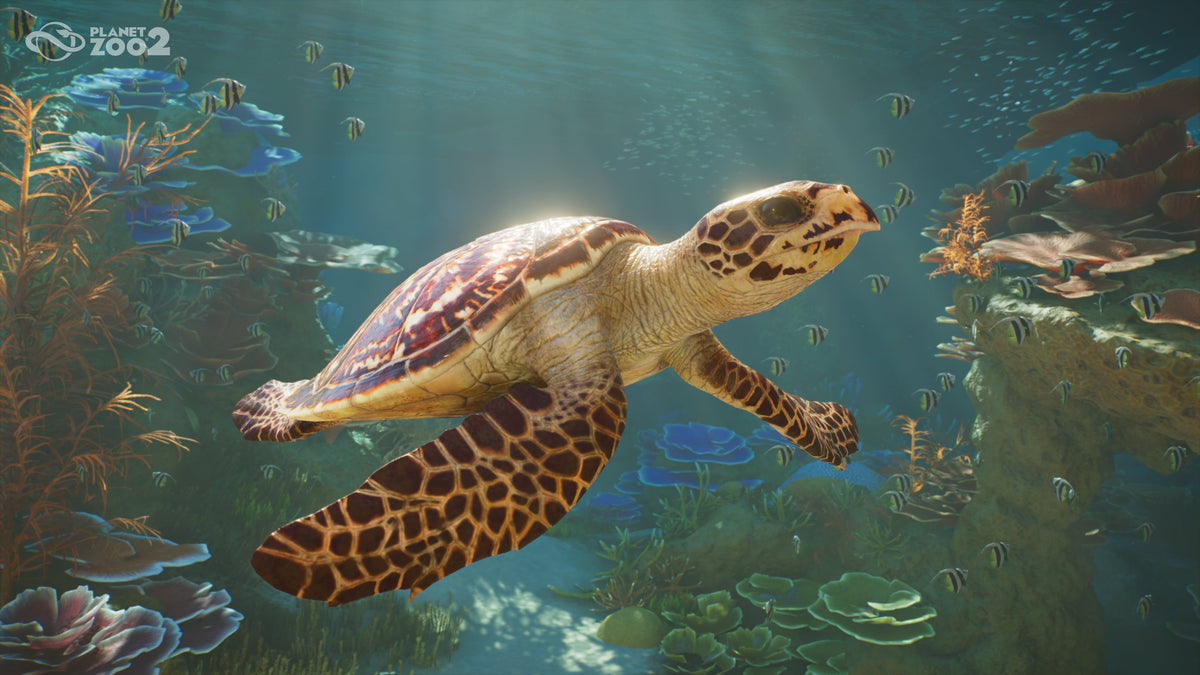 PS5 Planet Zoo 2
