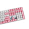 Akko World Tour Tokyo R2 5108S OEM SP RGB Hot-Swappable Mechanical Keyboard (Gateron Orange-Lubed)