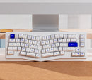 Akko ACR Pro Alice Plus Spray Painted Acrylic White Pre-Assembled Version RGB Mechanical Keyboard Hot-Swappable Gasket Mount (Akko Silver Switches)