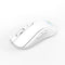 Akko AG ONE Light Cinnamoroll Wireless Mouse