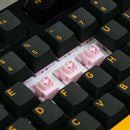 Akko Black & Gold 3108RF V3 Dual-Mode Mechanical Keyboard (Akko Frost Pink Switch)
