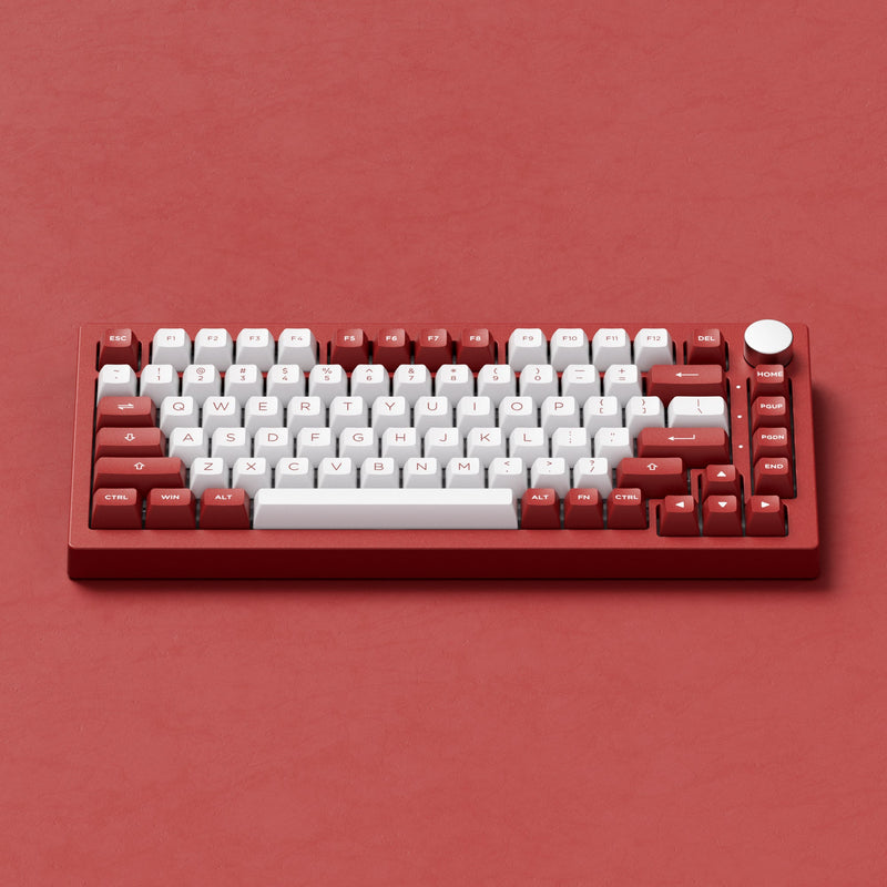 Akko Chicago 5075B Plus Multi-Mode RGB Hot-Swappable Mechanical Keyboard (Akko V3 Piano Pro Switch)