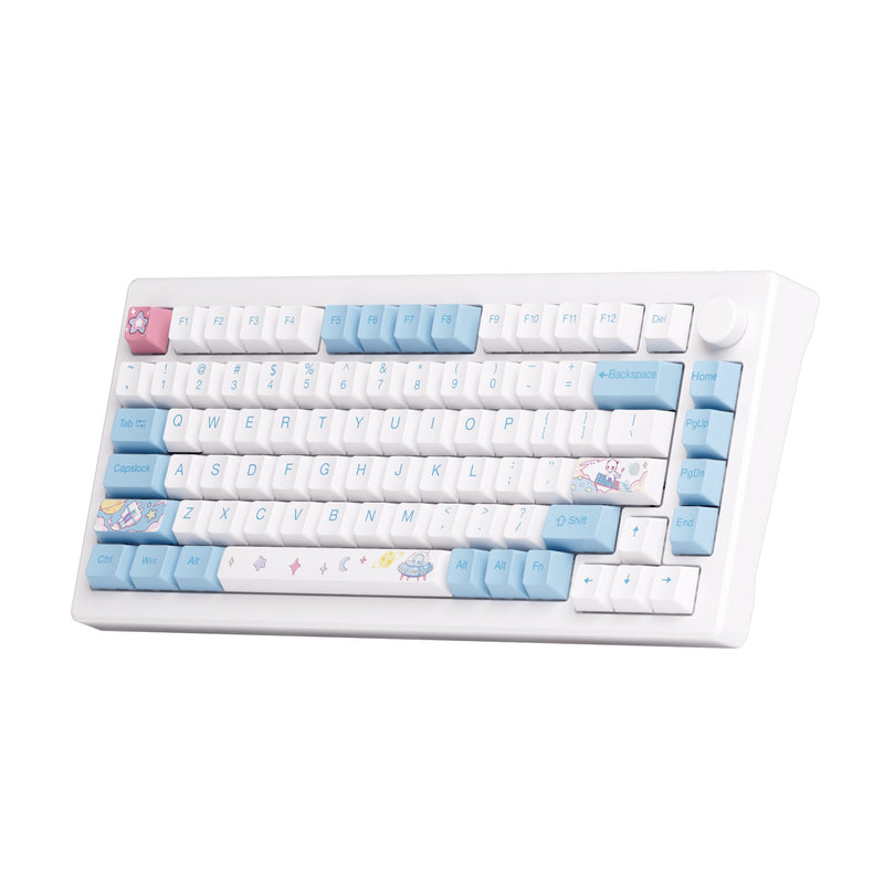 Akko MOD 007 HE PC Wired RGB Hot-Swappable Mechanical Keyboard (Stellar ...