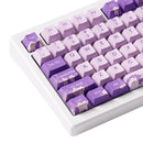 Akko MOD 007 HE PC Wired RGB Hot-Swappable Mechanical Keyboard