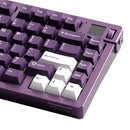Akko MOD 007 V5 HE Wired RGB Magnetic Keyboard (Cosmos) 