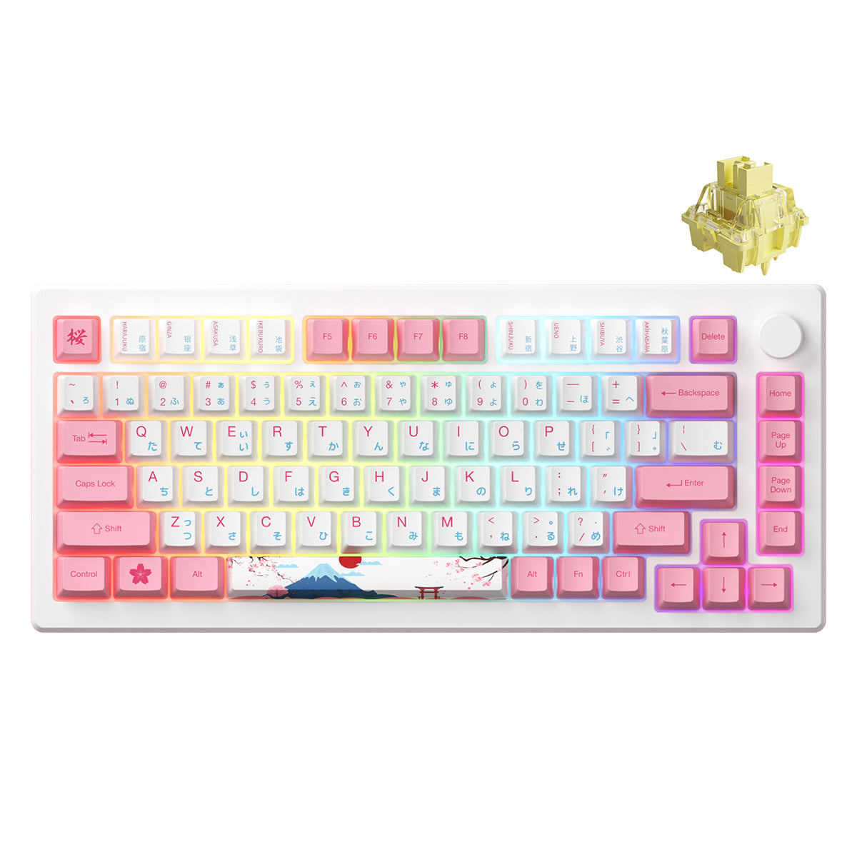 Akko MOD 007B HE PC Tri-Mode RGB Mechanical Keyboard (Tokyo R2) (Akko Cream Yellow Magnetic Switch)