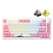 Akko MOD 007B HE PC Tokyo R2 Tri-Mode RGB Hot-Swappable Mechanical Keyboard