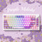 Akko MOD 007 HE PC Wired RGB Hot-Swappable Mechanical Keyboard