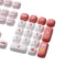Akko Poco Family - Poco Piggy Keycap Set MOG Profile 138 Keys