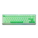 Akko Ray68 RGB Wired Mechanical Keyboard (Misty Green & White)