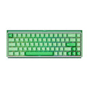 Akko Ray68 RGB Wired Mechanical Keyboard (Misty Green & White)