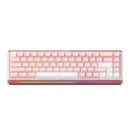 Akko Ray68 RGB Wired Mechanical Keyboard (Misty Pink & White) (Akko AstroAim Magnetic Switch) (101-RA68B-002)
