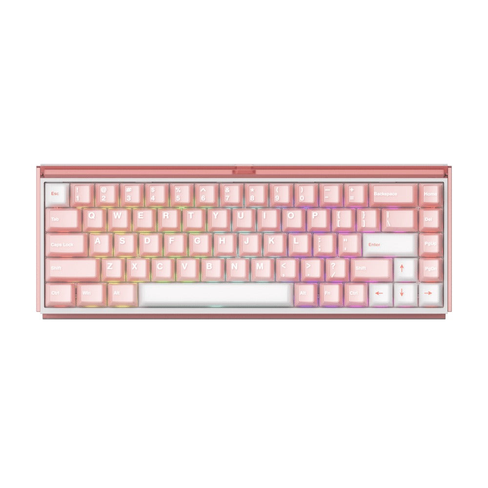 Akko Ray68 RGB Wired Mechanical Keyboard (Misty Pink & White) (Akko AstroAim Magnetic Switch) (101-RA68B-002)