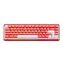 Akko Ray68 RGB Wired Mechanical Keyboard (Misty Red & White)