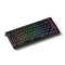 Akko TAC75 HE Shine-Through Black Wired ARGB Mechanical Keyboard