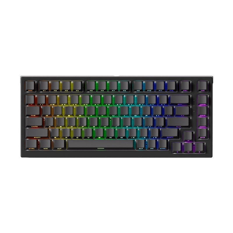 Akko TAC75 HE Shine-Through Black Wired ARGB Mechanical Keyboard