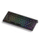 Akko TAC75 HE Shine-Through Black Wired ARGB Mechanical Keyboard
