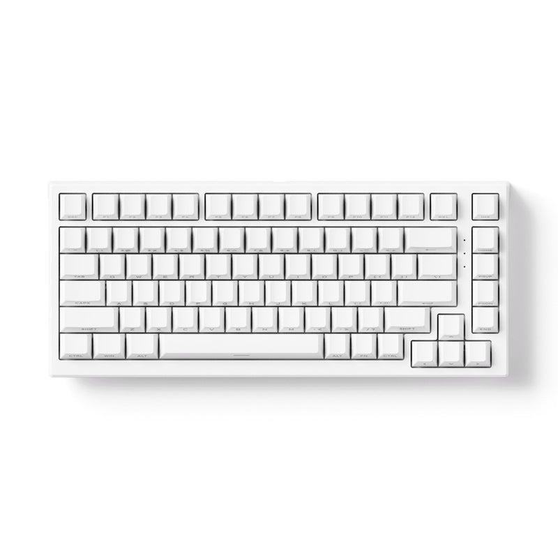 Akko TAC75 HE Shine-Through White Wired ARGB Mechanical Keyboard