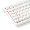 Akko TAC75 HE Shine-Through White Wired ARGB Mechanical Keyboard