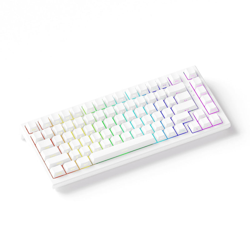 Akko TAC75 HE Shine-Through White Wired ARGB Mechanical Keyboard