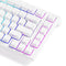 Akko TAC75 HE Shine-Through White Wired ARGB Mechanical Keyboard