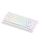 Akko TAC75 HE Shine-Through White Wired ARGB Mechanical Keyboard