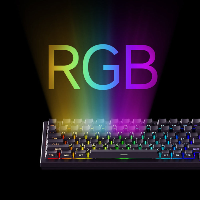 Akko TAC75 HE Shine-Through Black Wired ARGB Mechanical Keyboard