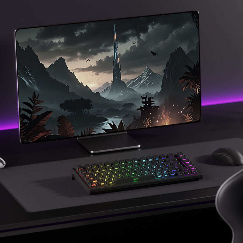 Akko TAC75 HE Shine-Through Black Wired ARGB Mechanical Keyboard