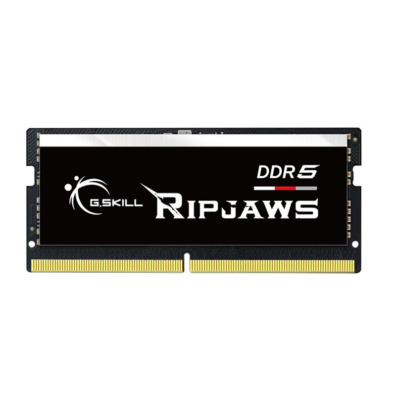 G.Skill Ripjaws 16GB (1X16GB) DDR5 4800MT/s So-Dimm CL40-39-39-76 1.10V Laptop Memory (Black) (F5-4800S4039A16GX1-RS)