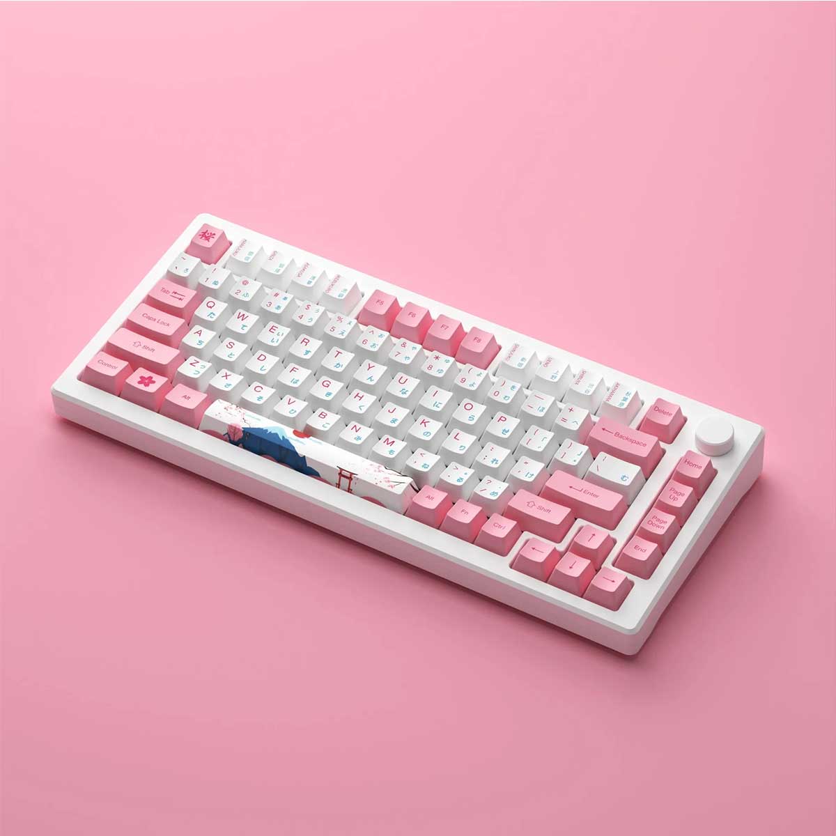 Akko MOD 007B HE PC Tri-Mode RGB Mechanical Keyboard (Tokyo R2) (Akko Cream Yellow Magnetic Switch)