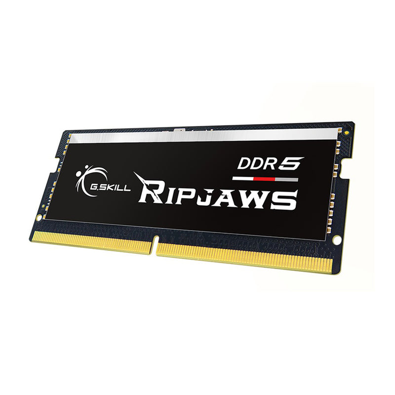 G.Skill Ripjaws 16GB (1X16GB) DDR5 4800MT/s So-Dimm CL40-39-39-76 1.10V Laptop Memory (Black) (F5-4800S4039A16GX1-RS)