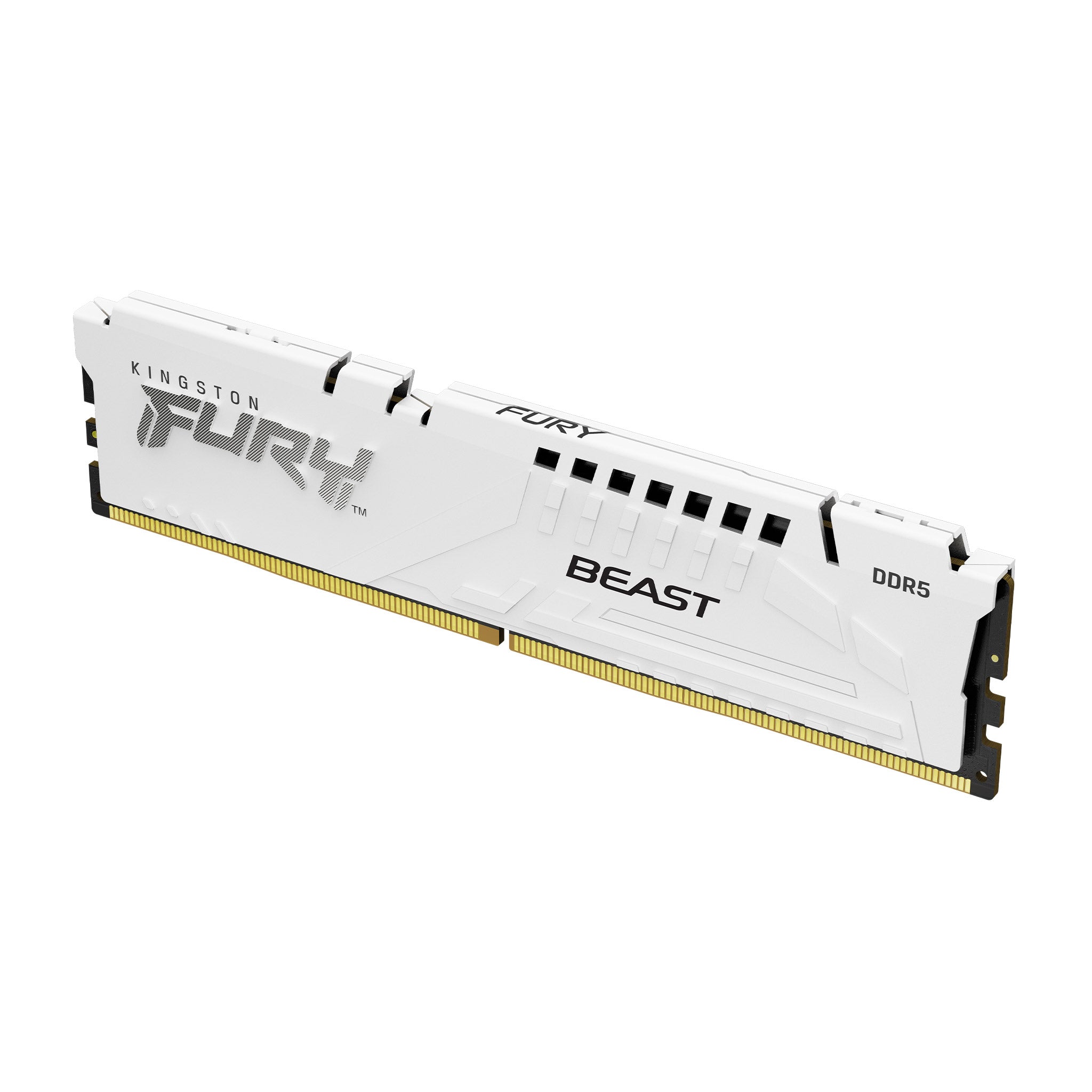 Kingston Fury Beast 16GB (1X16GB) DDR5 Expo 5200MT/S CL36 Memory