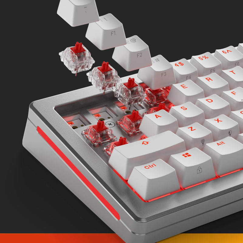 Glorious Mechanical Fox Switches | DataBlitz