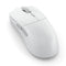 Glorious Series 2 Pro 8KHz Ultralight Weight Wireless Gaming Mouse