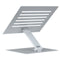 Razer Adjustable Aluminum Stand For Laptops Up to 18" (Black, Mercury)