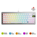 Glorious GMMK 3 Pro 65% Prebuilt Wired Mechanical Gaming Keyboard (Silver) (GLO-KB-GMMK3-PRO-65-PB-FOX-W-SIL-US)