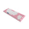 Akko World Tour-Tokyo R2 3096 Mechanical Keyboard (Gateron Pink)