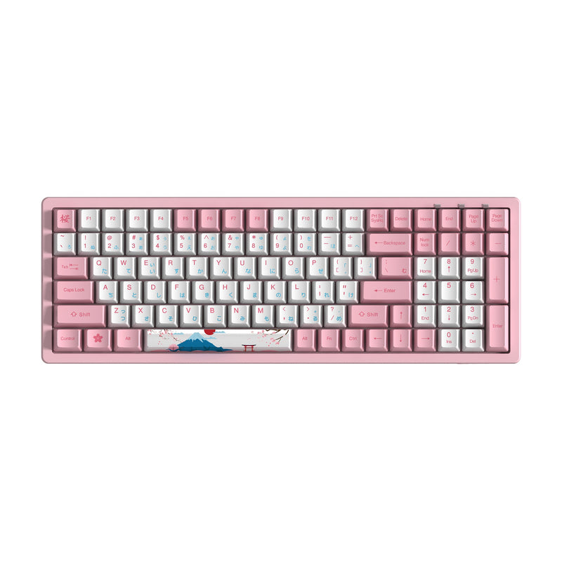 Akko World Tour-Tokyo R2 3096 Mechanical Keyboard (Gateron Pink)